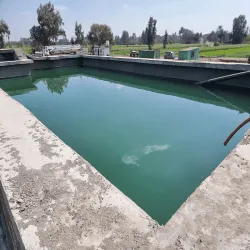 Sewage Treatment Plants