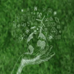 Sustainability and Environmental Friendliness